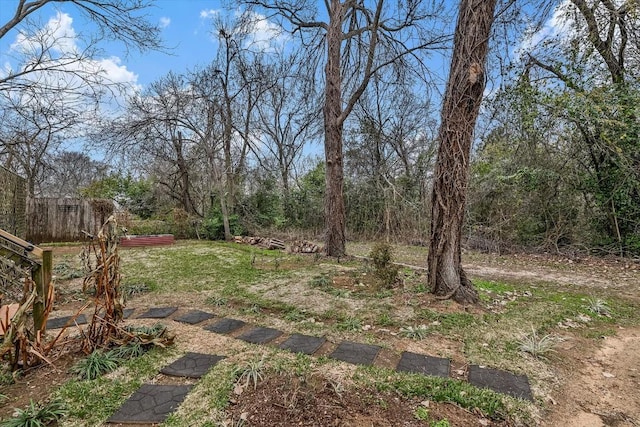 206 M L K Dr Unit B, Elgin, TX 78621 - view of yard