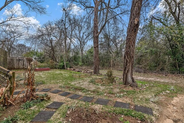 206 M L K Dr Unit B, Elgin, TX 78621 - view of yard