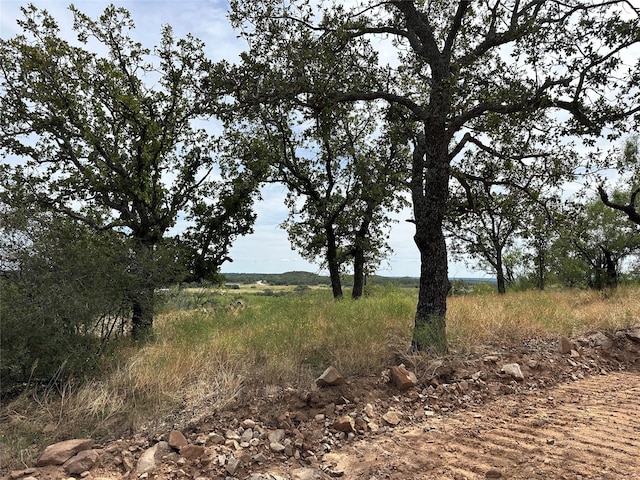 view of local wilderness