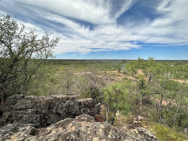 view of local wilderness