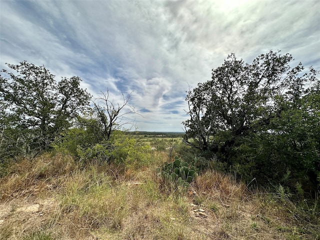 view of landscape