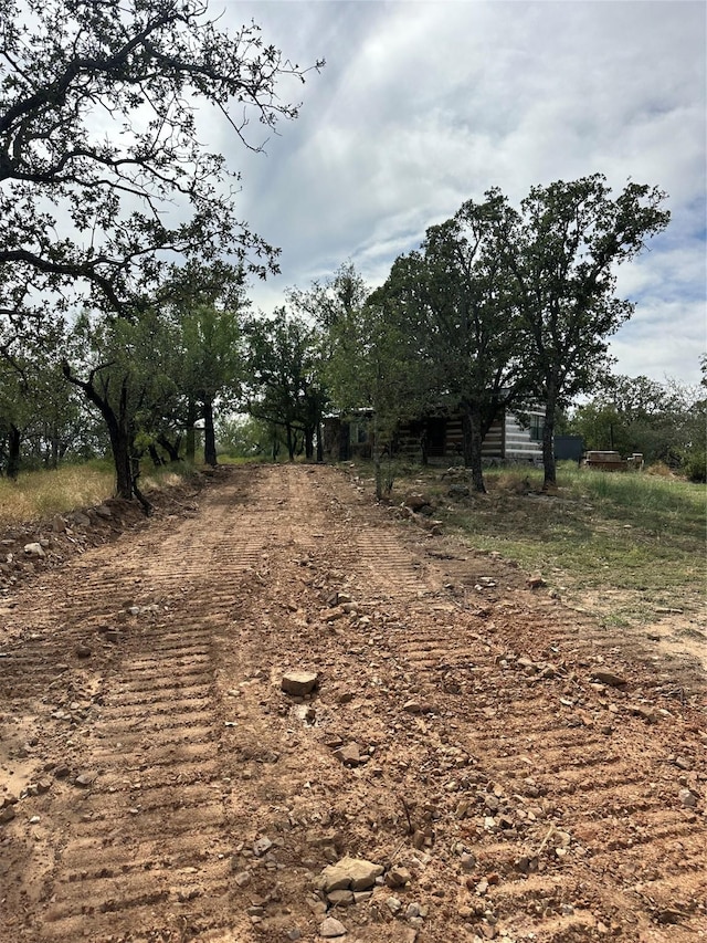 view of local wilderness