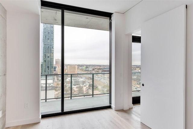 spare room featuring expansive windows and light hardwood / wood-style flooring