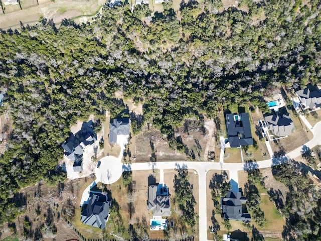141 Gaucho Way, Dripping Springs, TX 78620 - photo 13