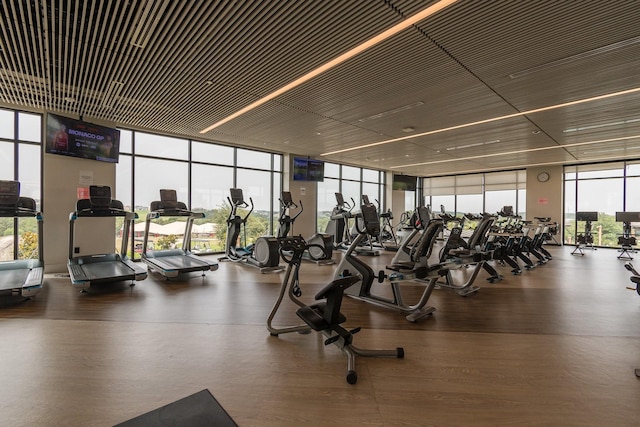 exercise room featuring hardwood / wood-style flooring and floor to ceiling windows