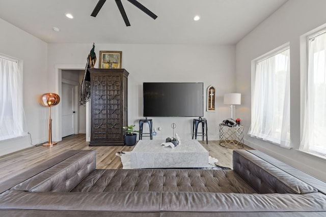 living room with hardwood / wood-style flooring, ceiling fan, and a healthy amount of sunlight