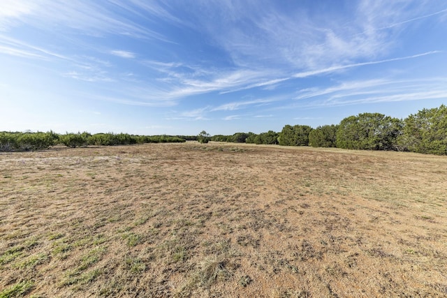 view of local wilderness with a rural view