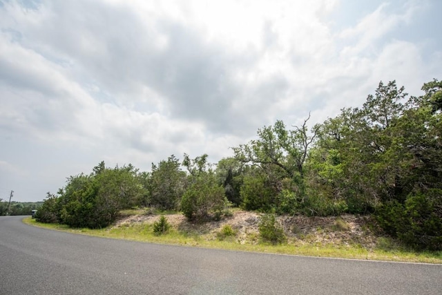 203 Saddlehorn Dr, Dripping Springs, TX 78620