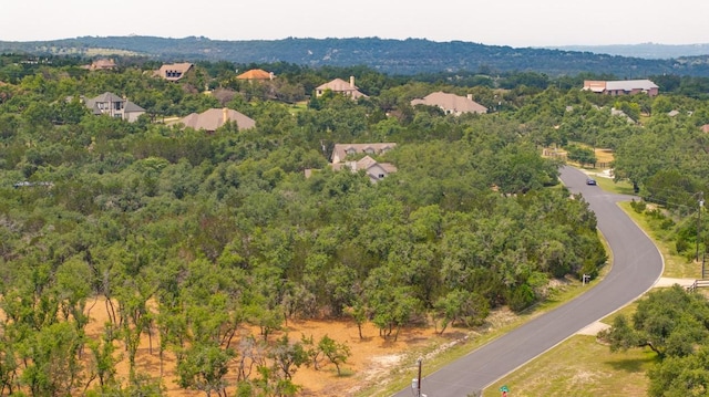 203 Saddlehorn Dr, Dripping Springs, TX 78620