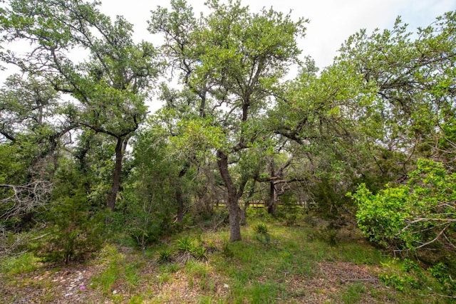 203 Saddlehorn Dr, Dripping Springs, TX 78620