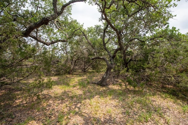 203 Saddlehorn Dr, Dripping Springs, TX 78620