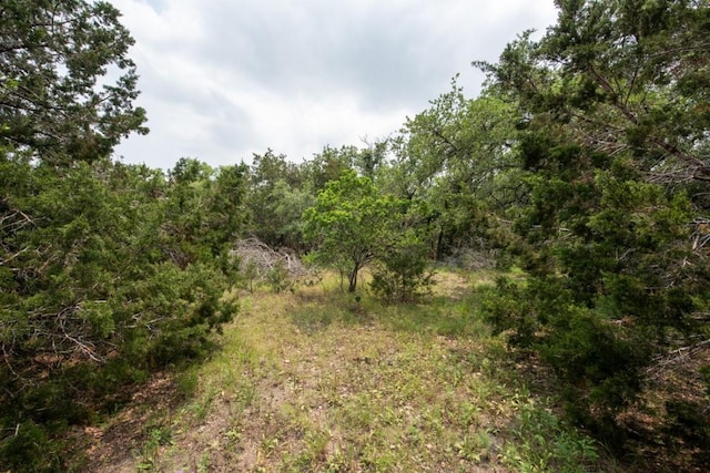 203 Saddlehorn Dr, Dripping Springs, TX 78620