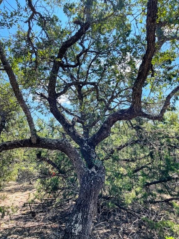203 Saddlehorn Dr, Dripping Springs, TX 78620