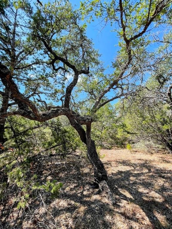 203 Saddlehorn Dr, Dripping Springs, TX 78620