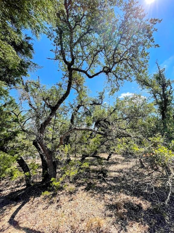 203 Saddlehorn Dr, Dripping Springs, TX 78620