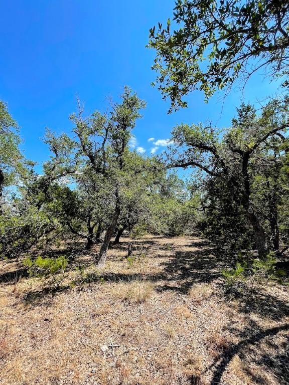 203 Saddlehorn Dr, Dripping Springs, TX 78620