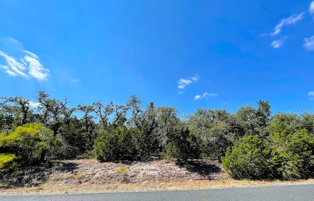 203 Saddlehorn Dr, Dripping Springs, TX 78620
