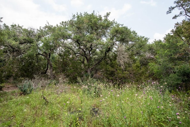 203 Saddlehorn Dr, Dripping Springs, TX 78620