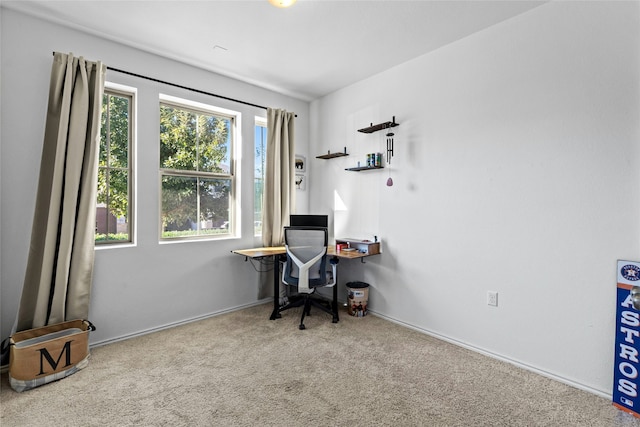 office area featuring light colored carpet