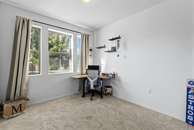 2004 Tasmanian Tiger Trce, Austin, TX 78728 - carpeted office featuring baseboards