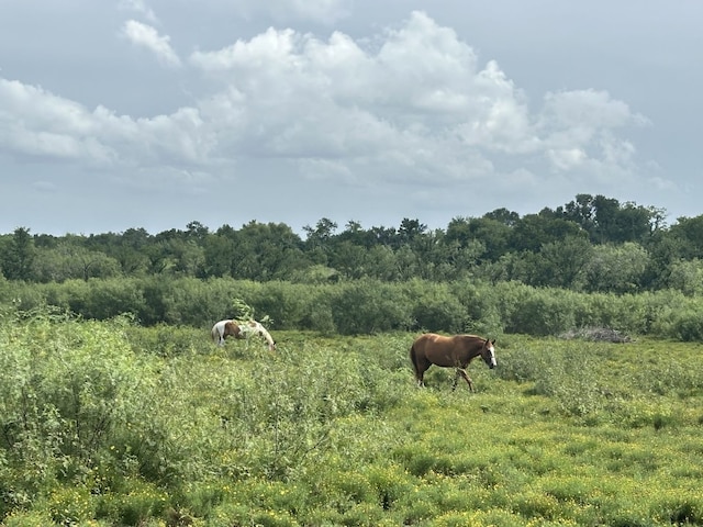 view of landscape with a rural view