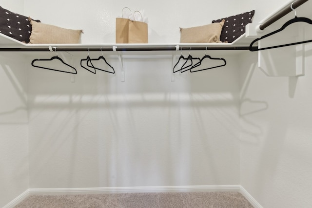 spacious closet with carpet