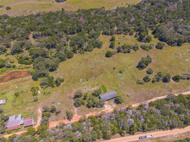 Listing photo 3 for 117 Charles Burnes Ln, Rosanky TX 78953