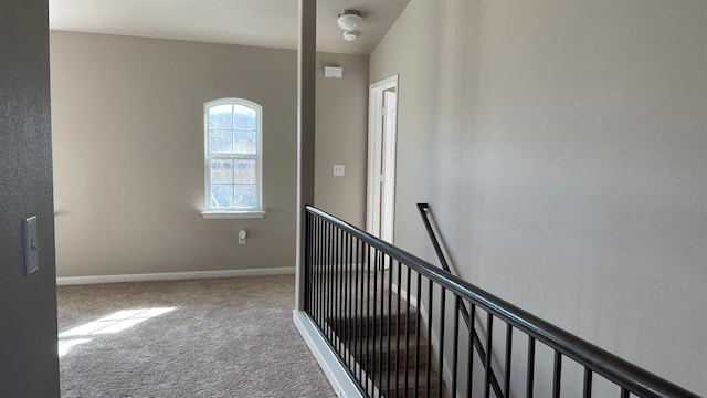 stairway featuring carpet flooring