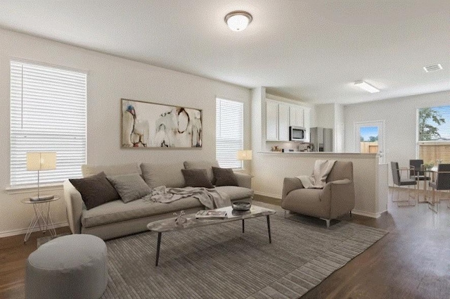 living room with a wealth of natural light and dark hardwood / wood-style floors