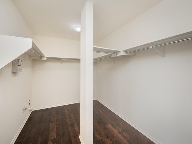 walk in closet with dark hardwood / wood-style floors