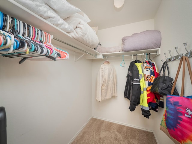 spacious closet with carpet flooring