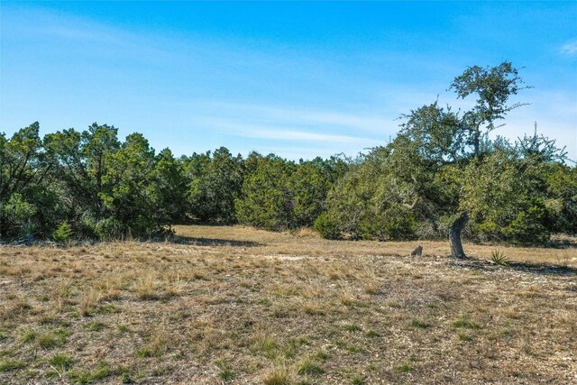280 Kellog, Fischer, TX 78623 - photo 13