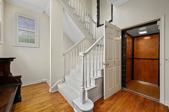 stairway with crown molding and hardwood / wood-style floors