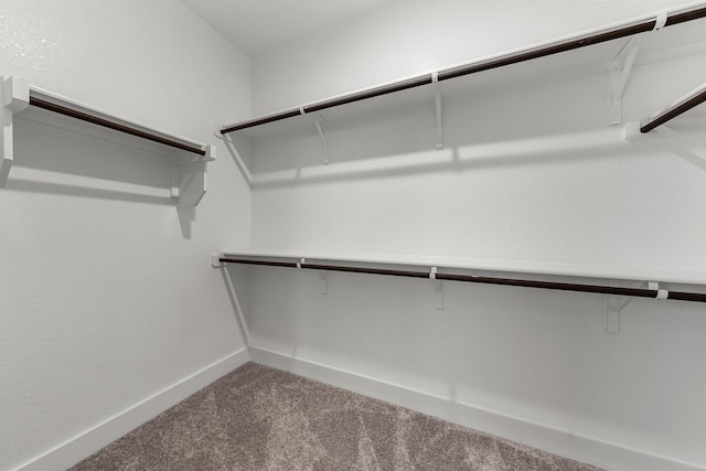 walk in closet with carpet flooring