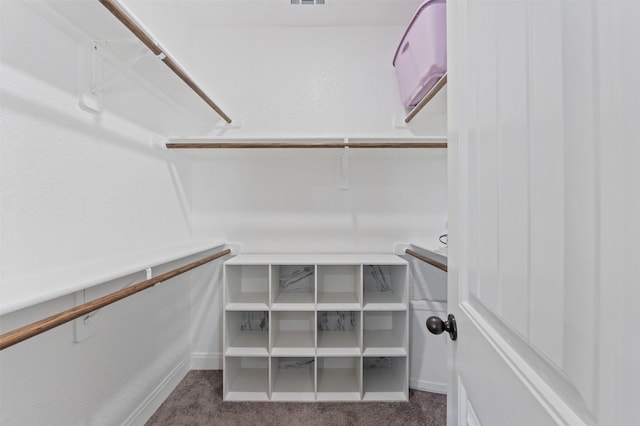 spacious closet with carpet flooring