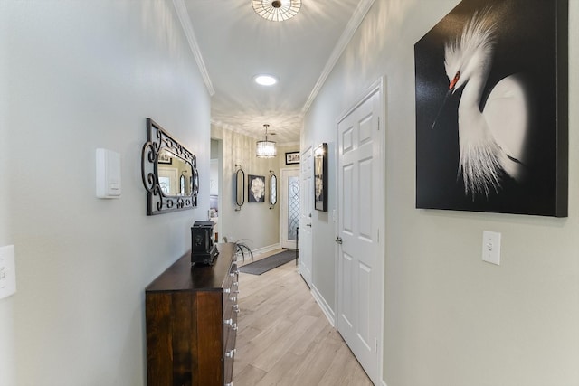 hallway with crown molding and light wood-type flooring