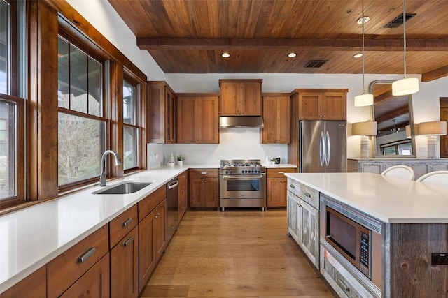 kitchen with appliances with stainless steel finishes, sink, pendant lighting, and plenty of natural light