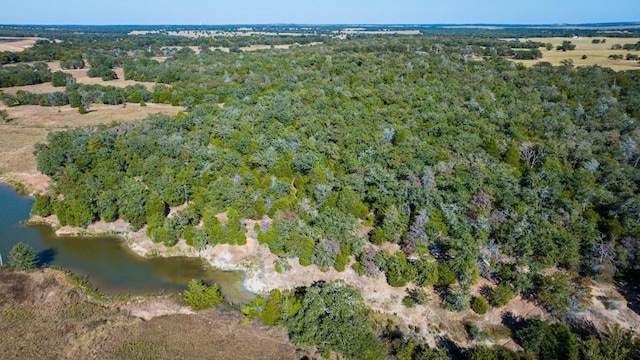 Listing photo 2 for 1293TRACTB County Road 482, Thrall TX 76578