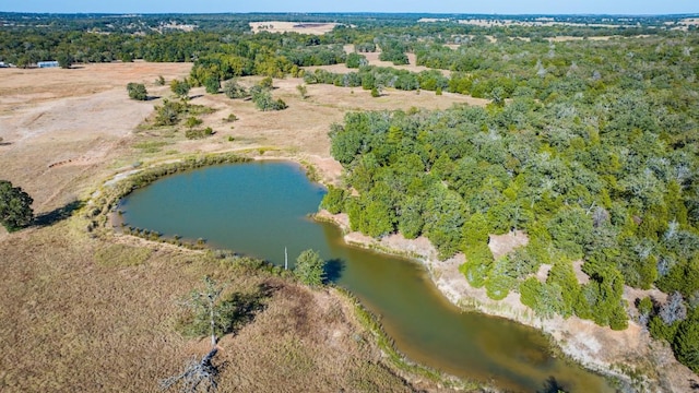 Listing photo 3 for 1293TRACTB County Road 482, Thrall TX 76578