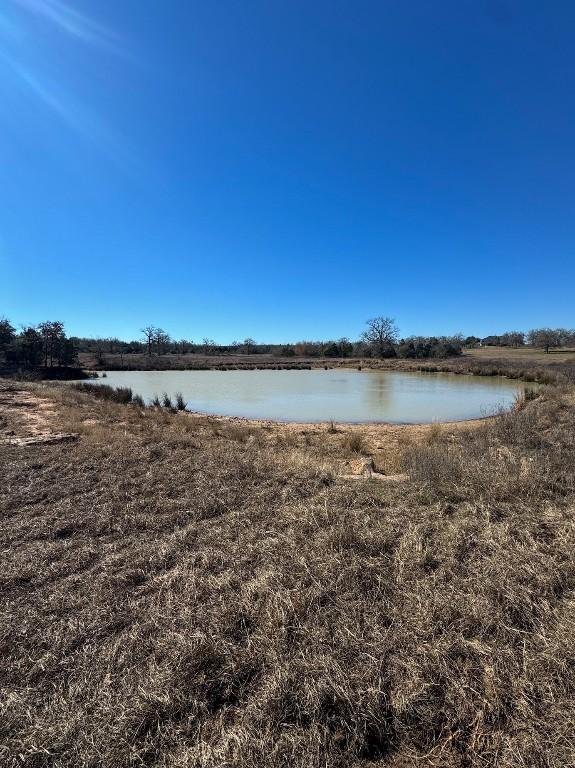 1293TRACTB County Road 482, Thrall TX, 76578 land for sale