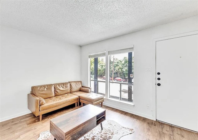 living room with a textured ceiling and light wood-type flooring