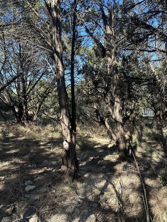 20700 Branding Iron, Lago Vista TX, 78645 land for sale