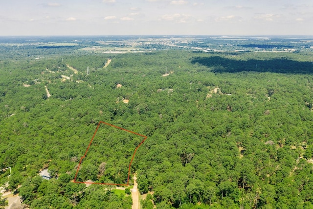 TBD Kailua Ln, Bastrop TX, 78602 land for sale