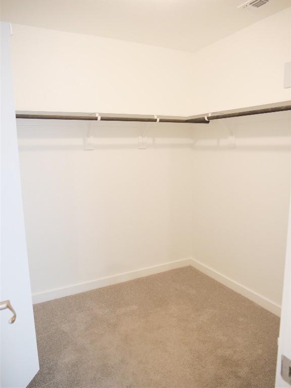 walk in closet with carpet