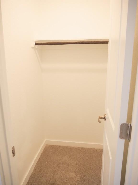 walk in closet featuring carpet floors