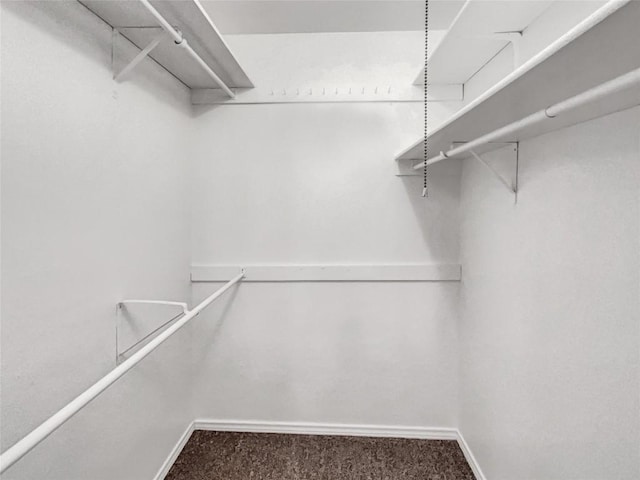 walk in closet with carpet