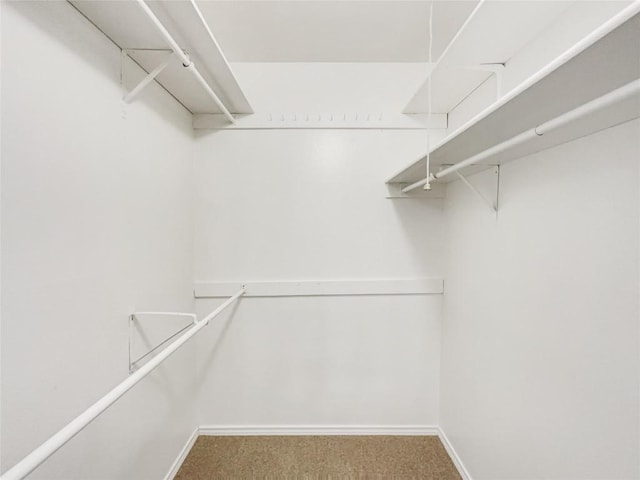 8222 Kearsarge Dr, Austin, TX 78745 - spacious closet featuring carpet flooring