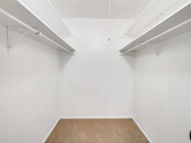 8222 Kearsarge Dr, Austin, TX 78745 - spacious closet with carpet flooring