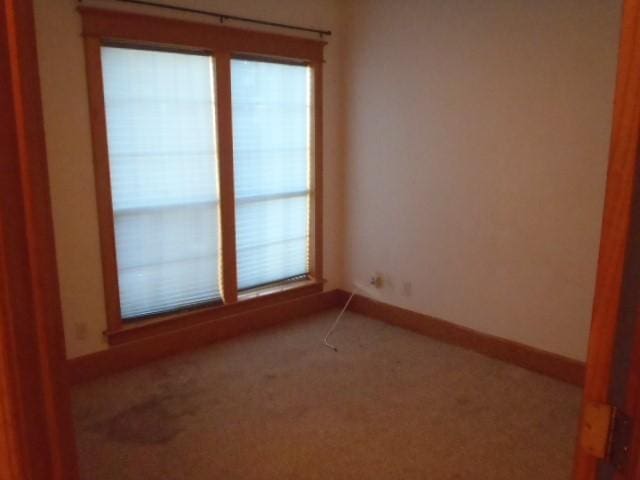 empty room with carpet and a wealth of natural light