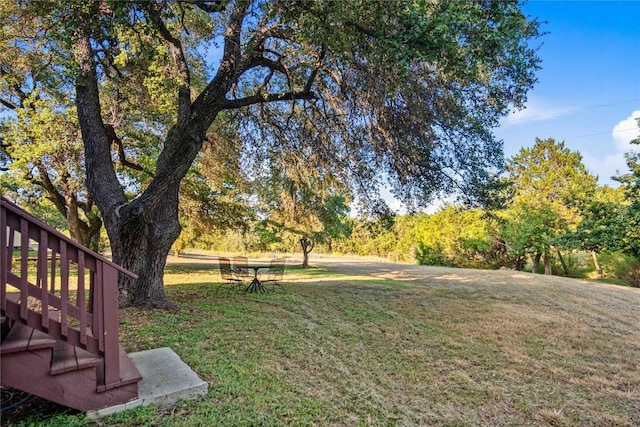 view of yard